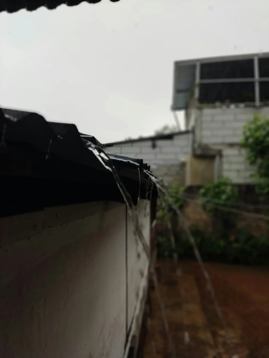 A completed garden showing a rainwater tank linked to drip lines running across planted beds